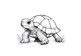 Sürüngen Ürünleri