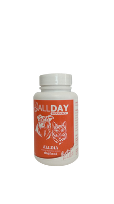 All-Day(8) All Dia(İshal ) Tablet Vitamin15 gr - 1