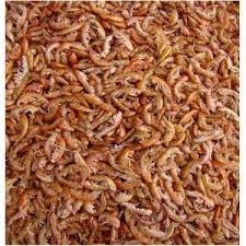 Curve Gammarus (Karides)750gr