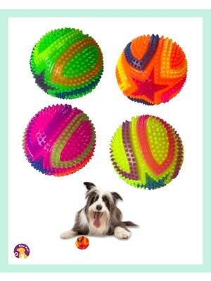 Shippo 1648-3175  Işıklı&Sesli Kirpi Top Büyük - 1