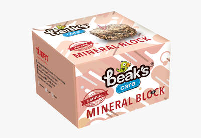 Beaks Mineral Blok Büyük 12 li