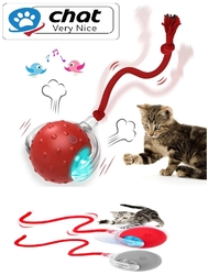  - Chat P02 Hareketli Kedi Oyuncak-2400(344)