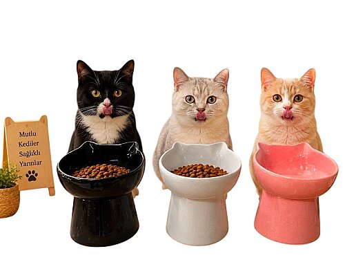 Chat Kulaklı Seramik Mama Kabı