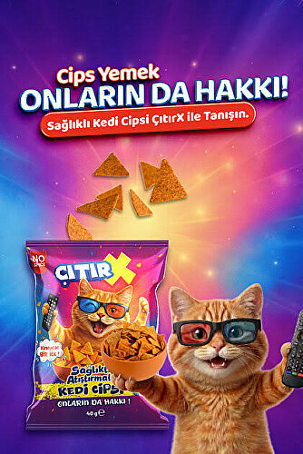 Çıtırx Kedi Cipsi 40 gr