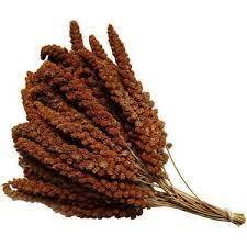 Dal Darı Kızıl 1 kg - 1