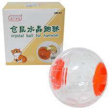 DM191 Hamster Egzersiz Topu Turuncu - 1