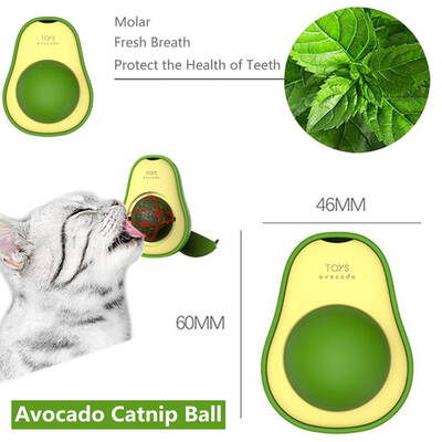 Avokado Catnip Kedi Otu