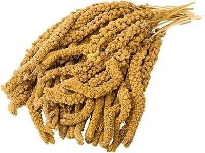 Joyful Sarı Dal Darı 500 gr