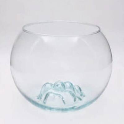 Curve Dekor Fanus  Orta 12 li - 1