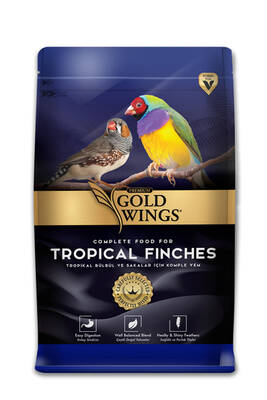 Goldwings Premium Tropical Finch (Bülbül) Yemi 1 kg 6 lı