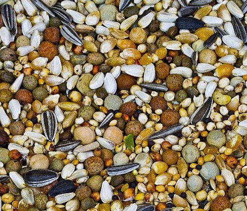 Joyful Eko Güvercin Yemi 10 kg