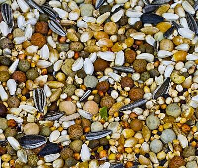 Joyful Eko Güvercin Yemi 10 kg - 1