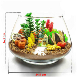 Curve - Büyük Oslo Fanus 6 lı (24,5*16,5)