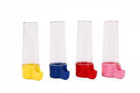 Kanarya Kutulu Suluk 24 lü - 1