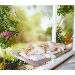 Kedi Pencere Yatak