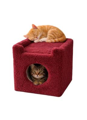 Shippo Oturaklı Kedi Kulübesi - 1