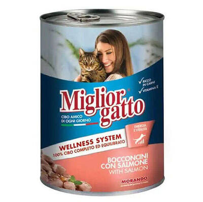 Migliorgatto Somon Parçalı Kedi Konserve 24*405gr