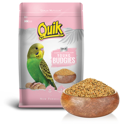 Quik - Quik Junior Yavru Muhabbet Yemi 400 gr 12li