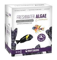 Reeflowers Freshwater Algae Cream Balık Yemi 20*5 gr - 1