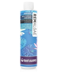 Reeflowers Rem Algae(Yosun Giderici) Akvaryum Su Hazırlayıcı 85 ml