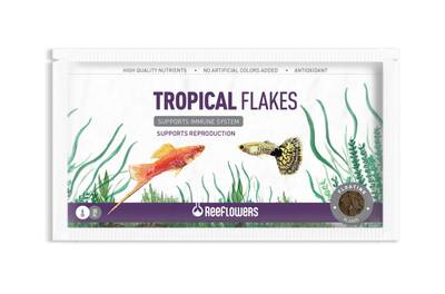 Reeflowers Tropical Flakes Zarf Pul Balık Yemi 6gr
