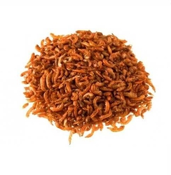 Rotifish Gammarus Balık Yemi 250gr