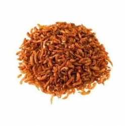  - Sera Gammarus Balık Yemi 35 gr