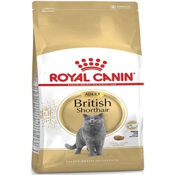 Royal Canin - Royal Canin British Shorthair Kedi Maması 10 kg