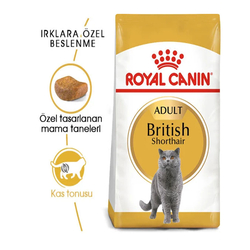 Royal Canin British Shorthair Kedi Maması 2 kg - 2
