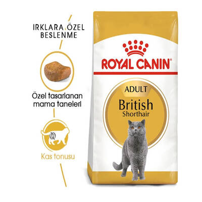 Royal Canin British Shorthair Kedi Maması 2 kg - 2