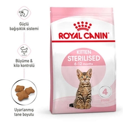 Royal Canin Kitten Kısır Yavru Kedi Maması 2 kg