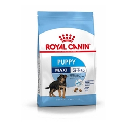 Royal Canin - Royal Canin Maxi Puppy Köpek Maması 10 kg