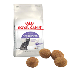 Royall Canin Kısır Kedi Mama 10kg