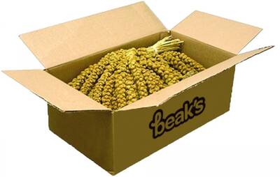 Sarı Dal Darı 15kg - 1