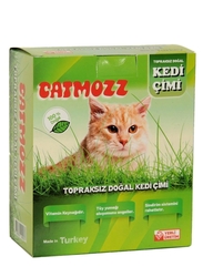 Catmozz - Catmozz Topraksız Kedi Çimi 