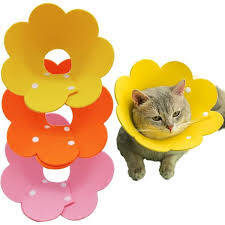 Shippo-381 Keçeli Elizabet Yakalık XLarge