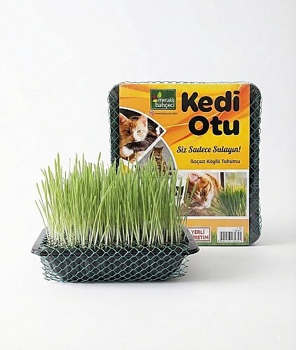 Shippo Fileli Kedi Çimi 
