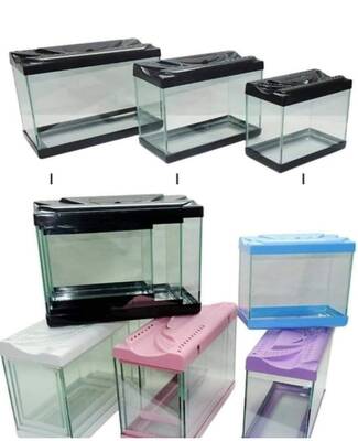 Curve Takım Akvaryum 3lü - 1